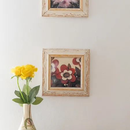 Casa Alice Bright Olympic Stadium Daire