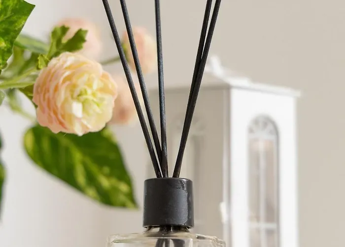 Casa Alice Bright Olympic Stadium