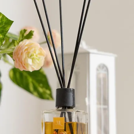 Casa Alice Bright Olympic Stadium